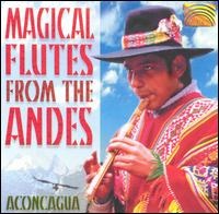 Magical Flutes from the Andes