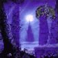 Enter The Moonlight Gate