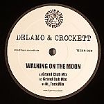 Walking On The Moon