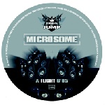 Flight  Summer Storm Vinyl