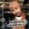 Numworld