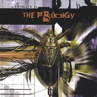 Tribute To The Prodigy