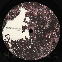 Kambrium (Vinyl)