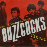 Buzzcocks Finest - Ever Fallen In Love